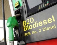El país exportará biodiesel a Estados Unidos para uso automotor