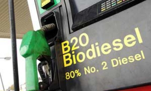 El país exportará biodiesel a Estados Unidos para uso automotor
