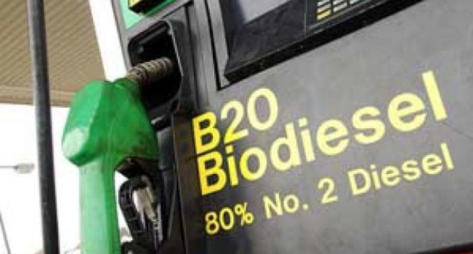 El país exportará biodiesel a Estados Unidos para uso automotor