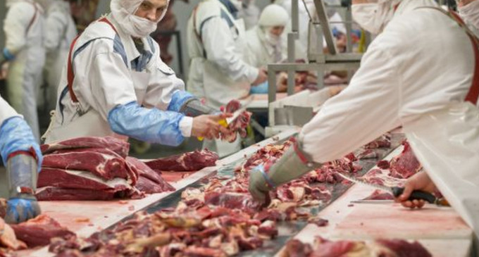 Mejora la producción de carne vacuna y se mantiene el nivel de consumo