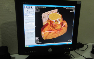 Ingenieros de la UNLaM crean un historial de registro para la salud