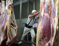 En lo que va del año, el consumo de carne creció 4%