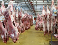 Argentina vuelve a exportar carne a Europa