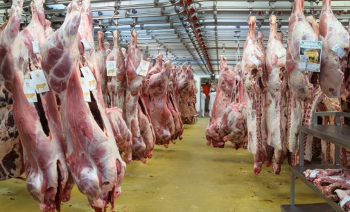 Argentina vuelve a exportar carne a Europa