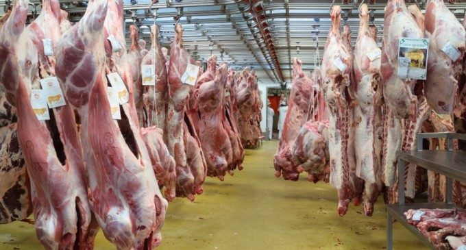 Argentina vuelve a exportar carne a Europa