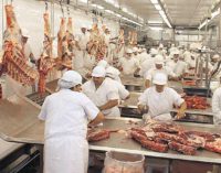 A raíz de los tarifazos, aseguran que peligran 3.500 puestos de trabajo en los frigoríficos