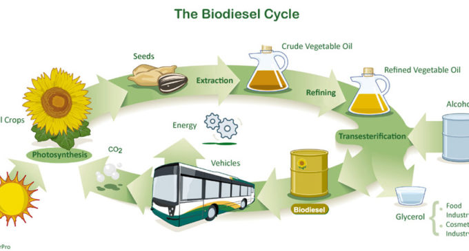 La Matanza ya recupera 30 mil litros diarios de aceite para biodiesel