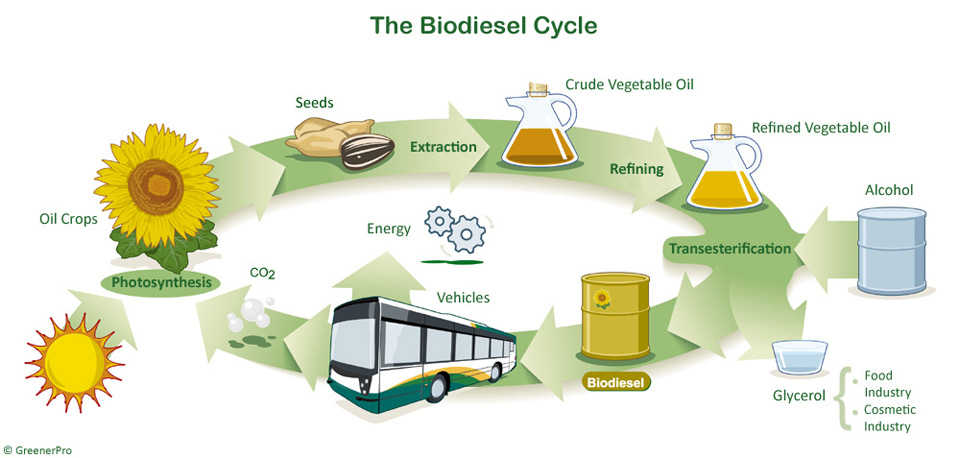 La Matanza ya recupera 30 mil litros diarios de aceite para biodiesel