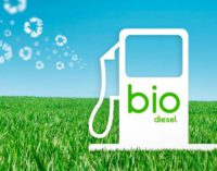 La OMC ratificó fallo a favor de la Argentina en su disputa con la UE por el biodiesel