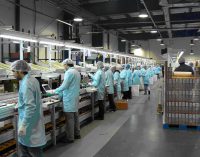 Es oficial: fuerte caída de la actividad económica en 2016