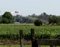 Lenta recuperación del sector rural en La Matanza