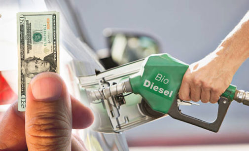 Productores Pymes de biodiesel venden en la Argentina por debajo de los valores de Europa y EE.UU.