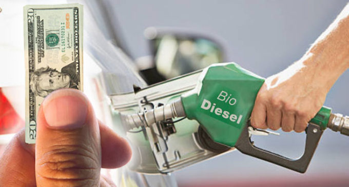 Productores Pymes de biodiesel venden en la Argentina por debajo de los valores de Europa y EE.UU.