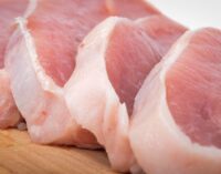 Singapur comenzará a importar carne y productos porcinos de Argentina