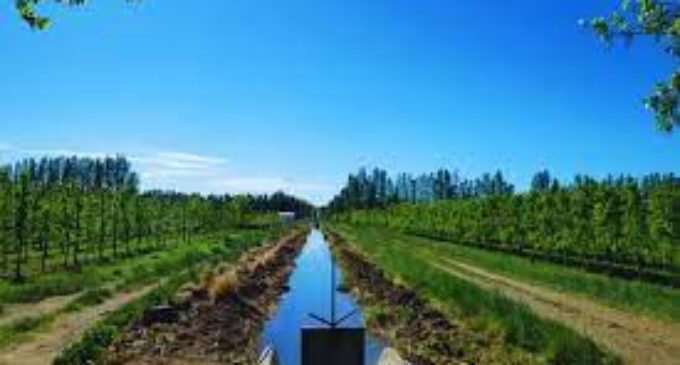 La calidad del agua, una de las claves para la exportación frutícola