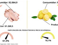 Del productor al consumidor, los precios de los agroalimentos se multiplicaron por 3,4 veces en febrero